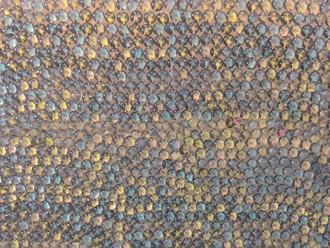 Andrea Pinchi / Benedetta Galli – Trasparenzehttps://www.exibart.com/repository/media/eventi/2018/03/andrea-pinchi-benedetta-galli-8211-trasparenze-1068x801.jpg