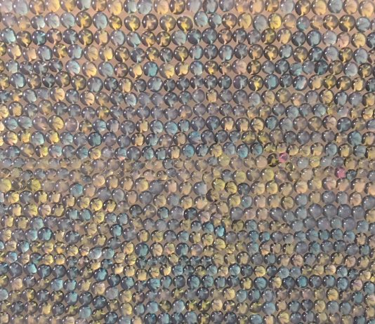 Andrea Pinchi / Benedetta Galli – Trasparenze