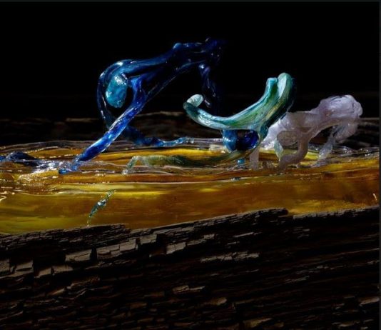 Barbara Pellandra – Angeli e Dei