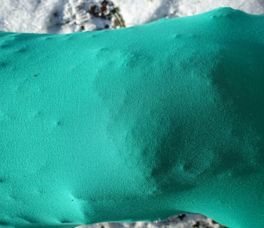 Eva Löfdahl – The Earth As We Know It