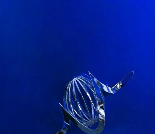 Giuliano Cardellini – Ali d’incontro Giuliano Cardellini – Ali d’incontro