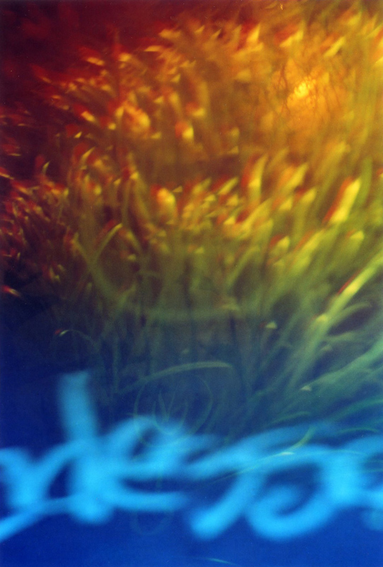 Klainscek / Komel / Spanòhttps://www.exibart.com/repository/media/eventi/2018/03/klainscek-komel-spanò.jpg