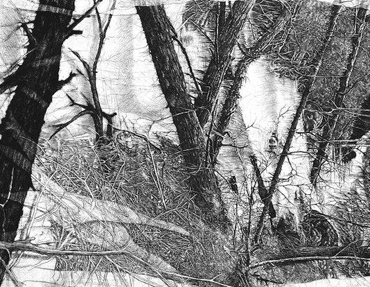 Livio Ceschin – Richiami dal Paesaggio