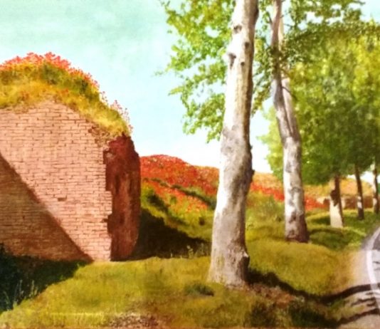 Luigi Carini – Spazio e Tempo, l’infinito dialogo con la natura