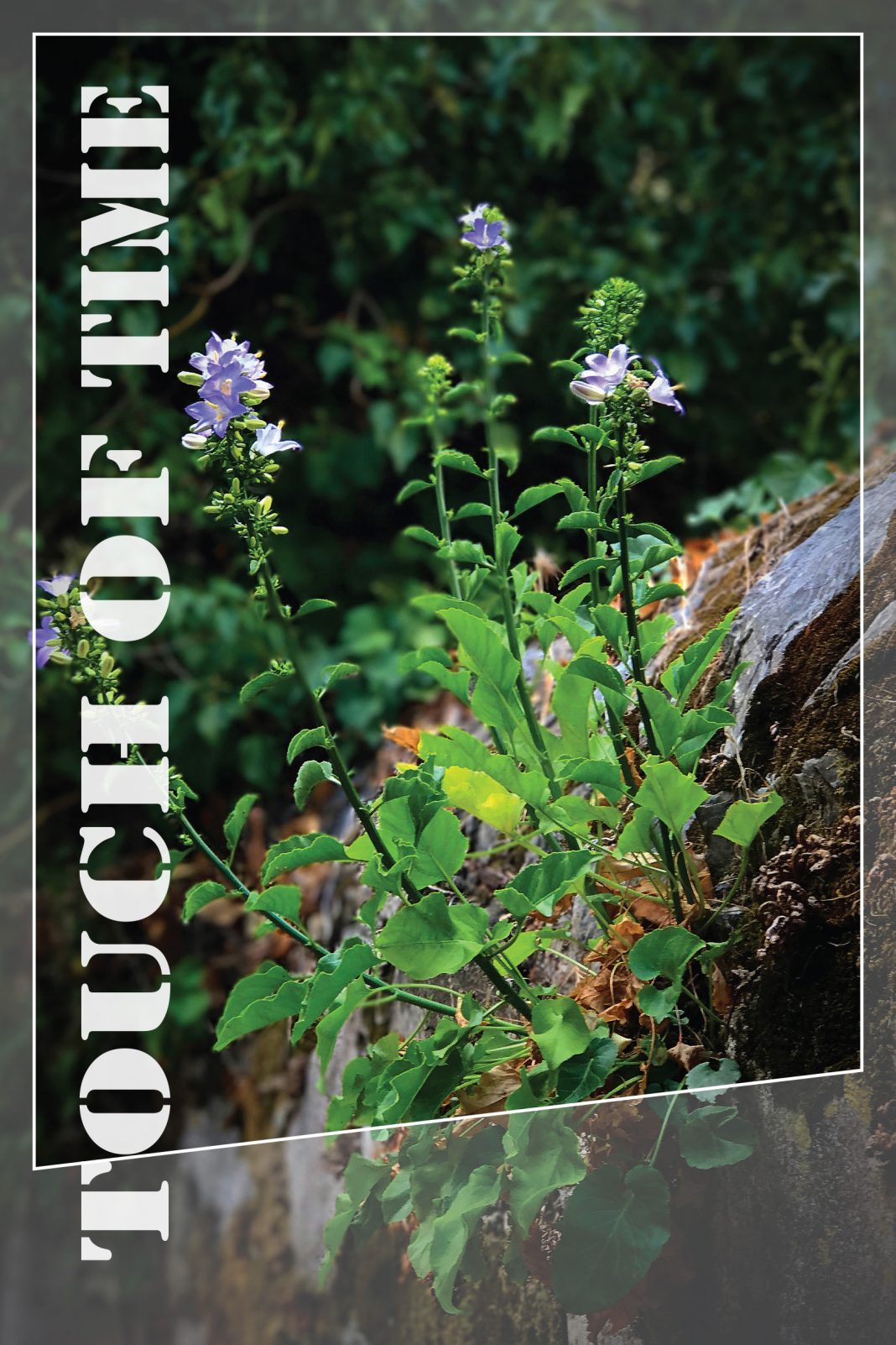 Nebojsa Kavaric – Touch of Timehttps://www.exibart.com/repository/media/eventi/2018/03/nebojsa-kavaric-8211-touch-of-time-1068x1602.jpg