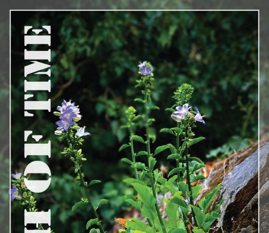 Nebojsa Kavaric – Touch of Time