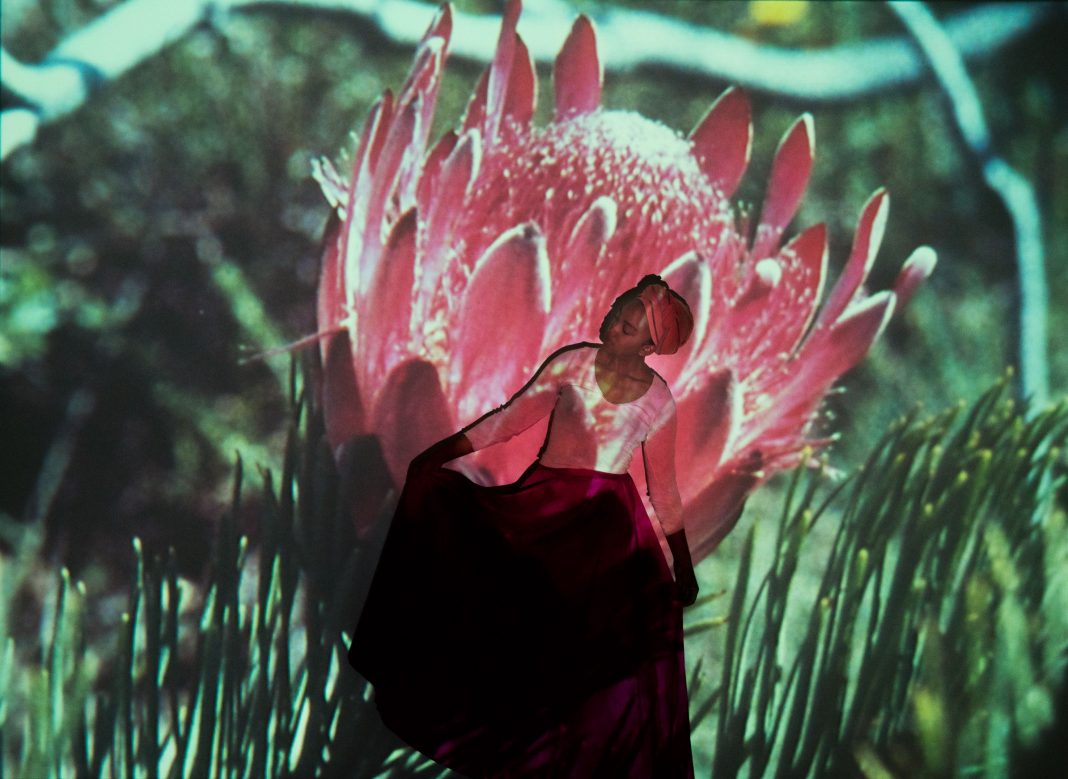 Uriel Orlow – Plant Echoeshttps://www.exibart.com/repository/media/eventi/2018/03/uriel-orlow-8211-plant-echoes-1068x779.jpg