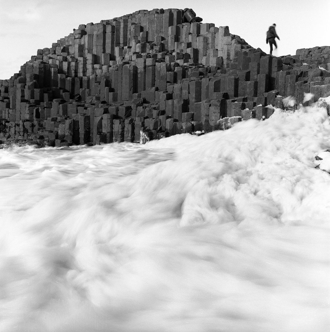 Zita Oberwalder – Quote, unquote: The Garden of the Blindhttps://www.exibart.com/repository/media/eventi/2018/03/zita-oberwalder-8211-quote-unquote-the-garden-of-the-blind-1068x1073.jpg