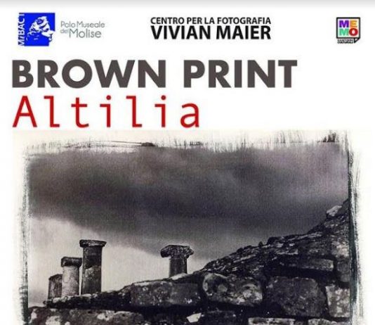 Brown Print – Altilia