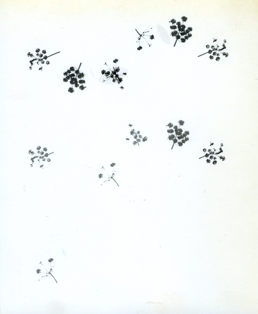 Costanza Gianquinto – In imagohttps://www.exibart.com/repository/media/eventi/2018/04/costanza-gianquinto-8211-in-imago-1068x1297.jpg