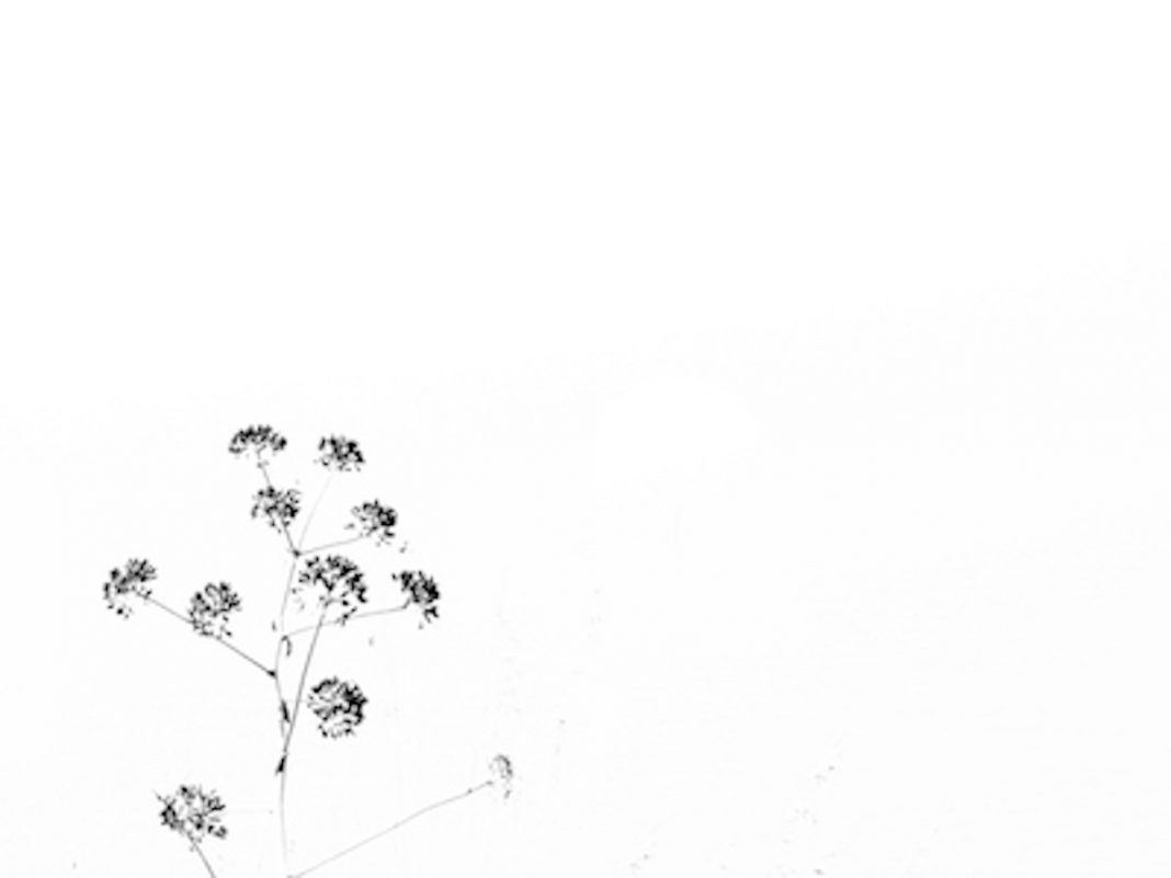 Giulia Efisihttps://www.exibart.com/repository/media/eventi/2018/04/giulia-efisi-1068x801.jpg