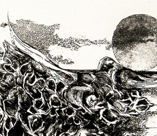 Graziella Navaretti Bartolini – Il pesce nella boccia