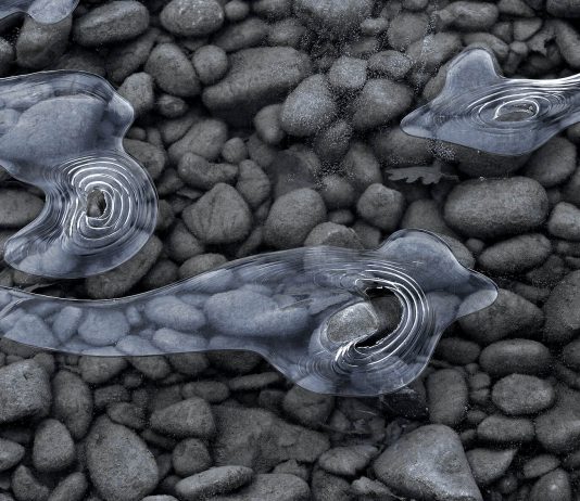 Mario Lamma – Per trasparenze Mario Lamma – Per trasparenze