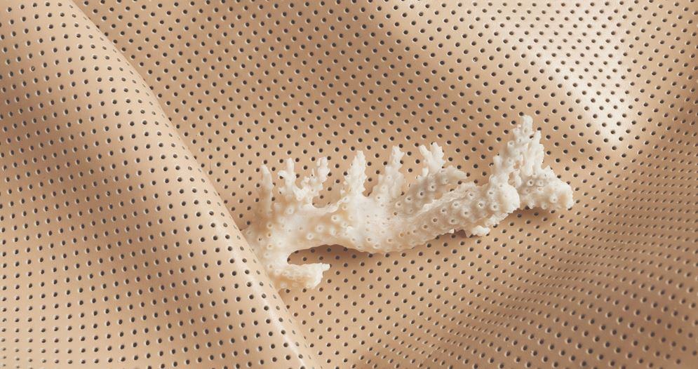 Nona Inescu – An animal that was once tought to be a plant that transformed into stonehttps://www.exibart.com/repository/media/eventi/2018/04/nona-inescu-8211-an-animal-that-was-once-tought-to-be-a-plant-that-transformed-into-stone.jpg