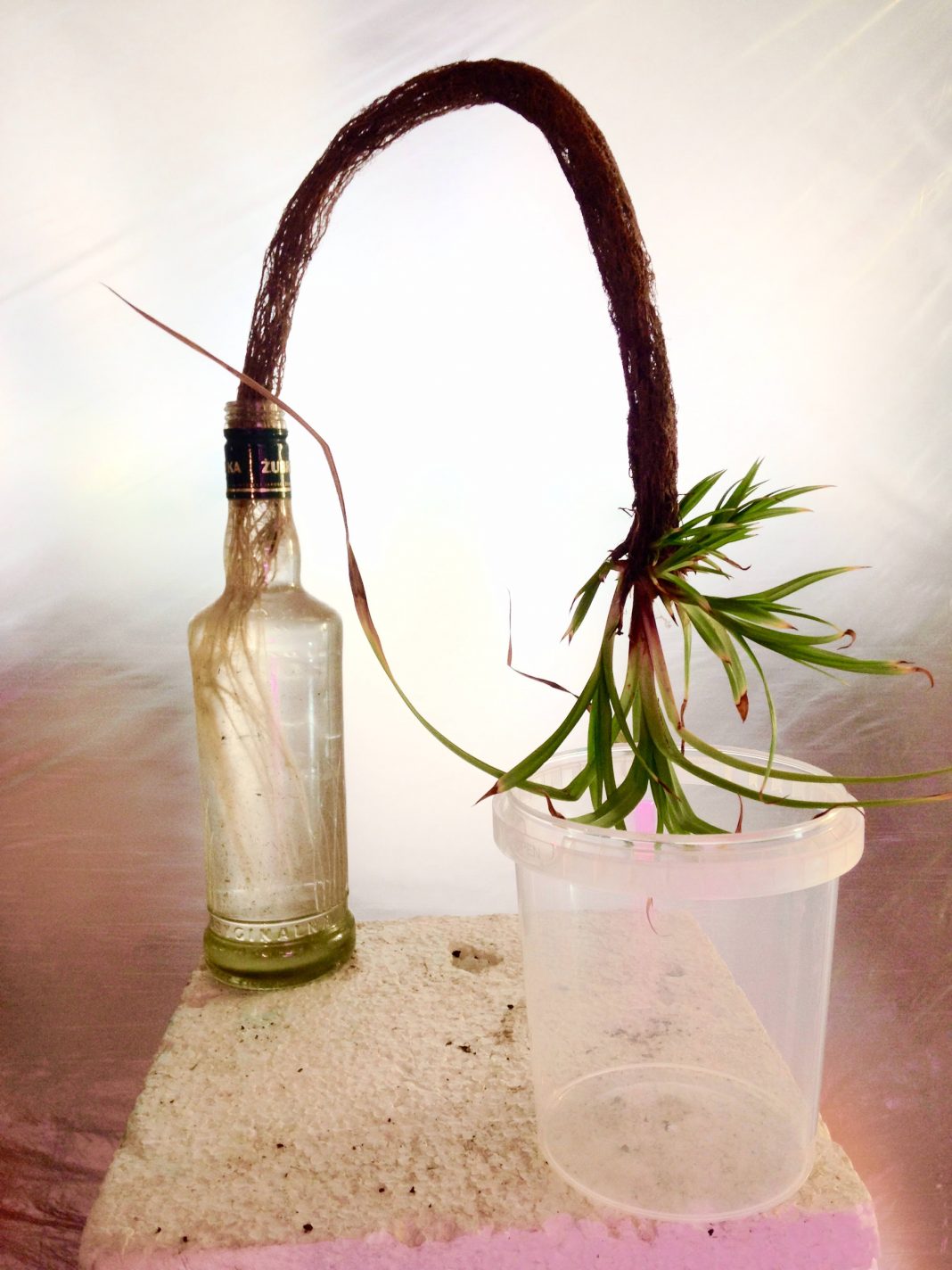 Public Program 2018: Michel Blazy in conversazione con Lorenzo Giustihttps://www.exibart.com/repository/media/eventi/2018/04/public-program-2018-michel-blazy-in-conversazione-con-lorenzo-giusti-1068x1424.jpg