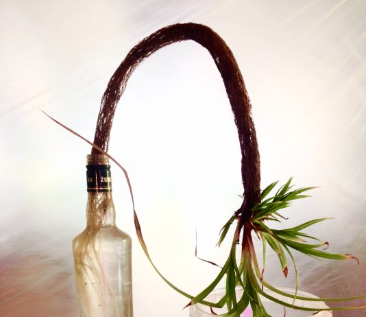 Public Program 2018: Michel Blazy in conversazione con Lorenzo Giusti