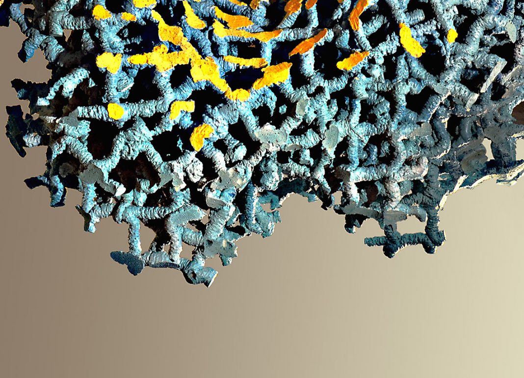 Samuel Di Blasi – Sognando Sognihttps://www.exibart.com/repository/media/eventi/2018/04/samuel-di-blasi-8211-sognando-sogni-1068x769.jpg