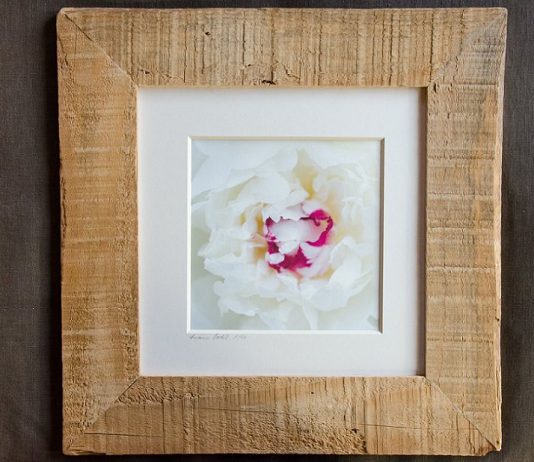 Susanne Paetsch – Gusto Visivo