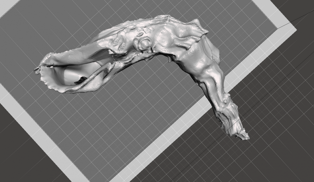 Andrea Barbagallo – Body Achehttps://www.exibart.com/repository/media/eventi/2018/05/andrea-barbagallo-8211-body-ache-1068x620.png