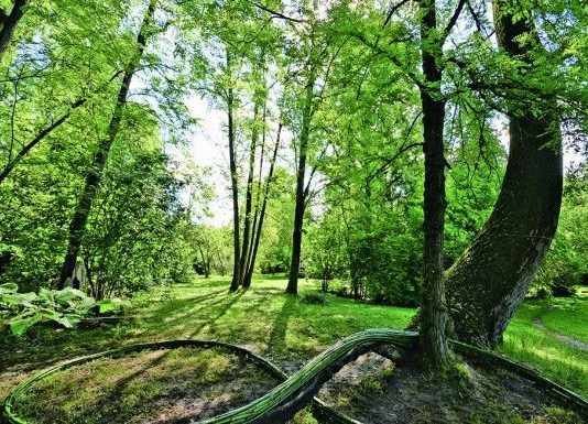 Humus Park – Land Art Meeting 2018