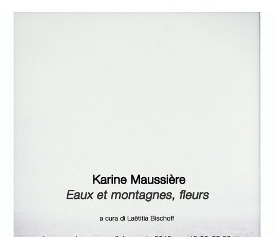 Karine Maussière – Eaux et montagnes, fleurs