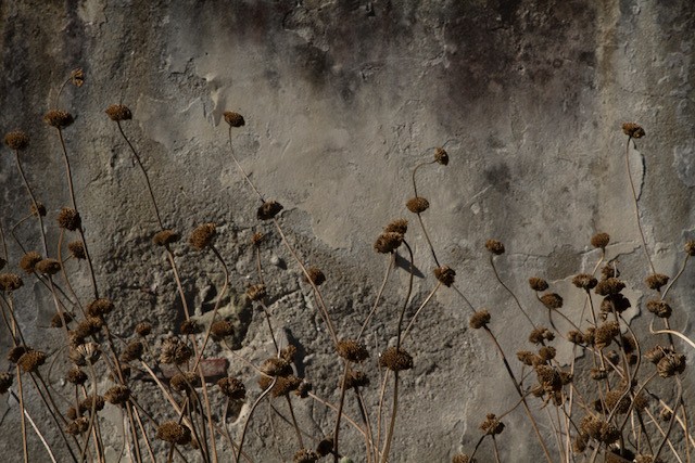 Karmen Corak / Andrej Brumen Cop – Fragilità dell’esserehttps://www.exibart.com/repository/media/eventi/2018/05/karmen-corak-andrej-brumen-cop-–-fragilità-dell’essere.jpg