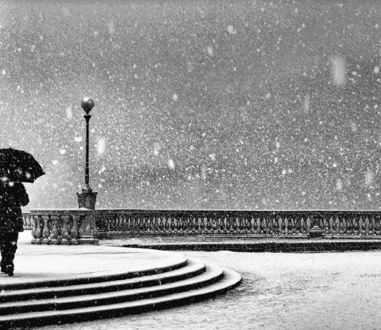 Livorno in bianco e nero