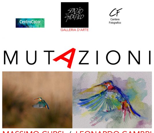 Massimo Cursi / Leonardo Cambri – Mutazioni