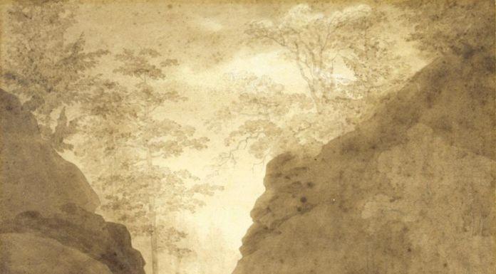 Nature Knows No Pausehttps://www.exibart.com/repository/media/eventi/2018/05/nature-knows-no-pause.jpg