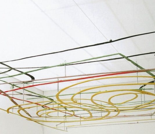 Navarro Baldeweg – Anelli di uno Zodiaco