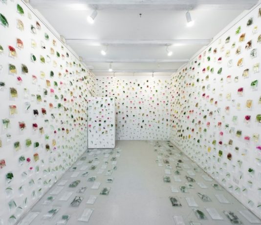 Pablo Mesa Capella Pablo Mesa Capella