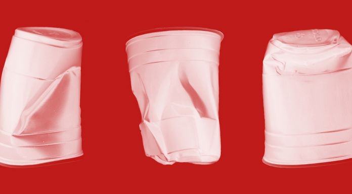 Paula Crown – Architecture of Memoryhttps://www.exibart.com/repository/media/eventi/2018/05/paula-crown-–-architecture-of-memory.jpg