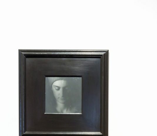 Tutto è natura. La fotografia di Luciana Majoni