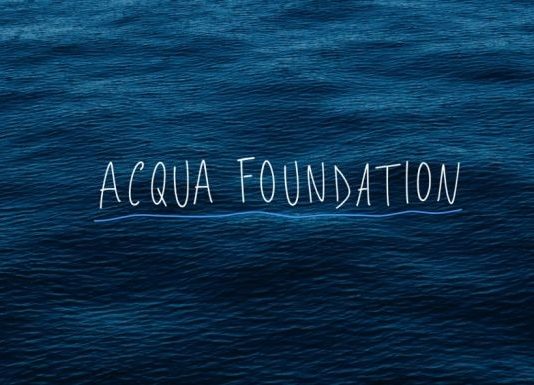 Acqua Foundation: Michael Wang