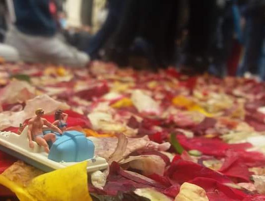 Davide Volponi – Fiori, Storie, Città