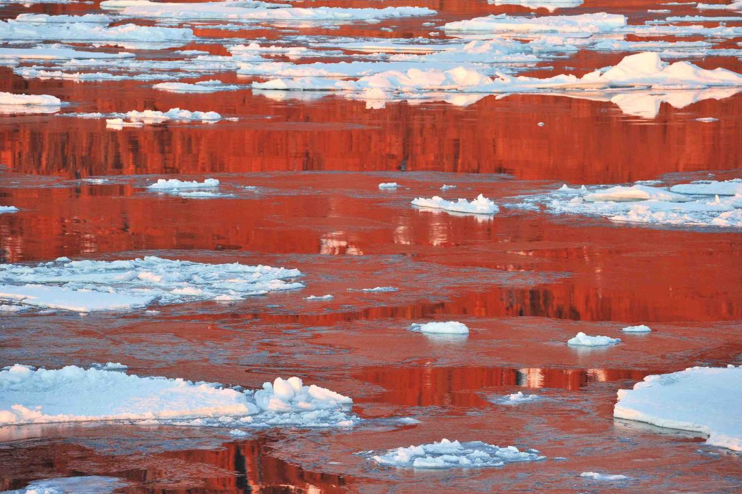 Etienne Pierart – Il Silenzio dei Polihttps://www.exibart.com/repository/media/eventi/2018/06/etienne-pierart-8211-il-silenzio-dei-poli-1068x711.jpg