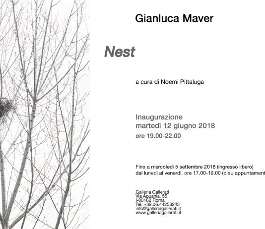 Gianluca Maver – Nest