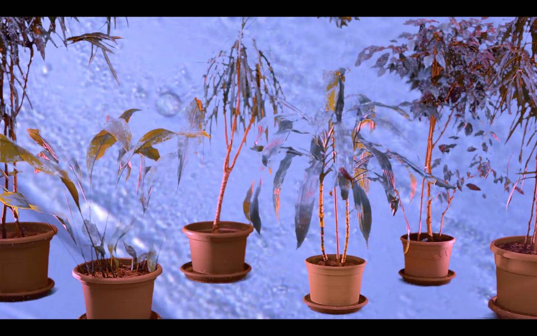 Green Observatory per Border Crossinghttps://www.exibart.com/repository/media/eventi/2018/06/green-observatory-per-border-crossing-1068x668.jpg