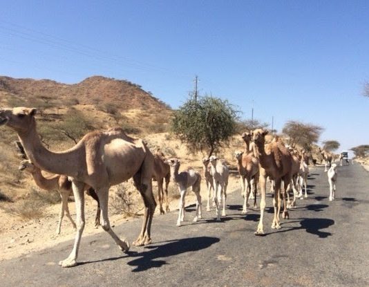 If you care to see me you should think about it If you care to see me you should think about it