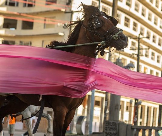 Jonathas de Andrade – Artapes