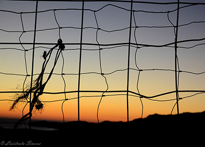 Lisistrata Simone – Punti di vista