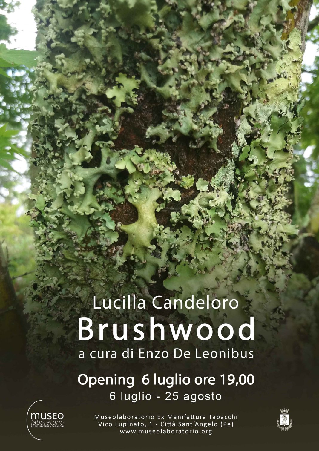 Lucilla Candeloro – Brushwoodhttps://www.exibart.com/repository/media/eventi/2018/06/lucilla-candeloro-8211-brushwood-1068x1510.jpg