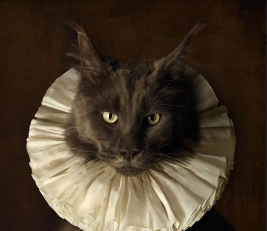 Marie Cécile Thijs – The usual is unusual