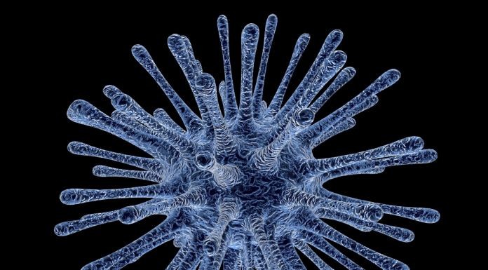 Paolo Bufalini – Lowhttps://www.exibart.com/repository/media/eventi/2018/06/paolo-bufalini-8211-low.jpg