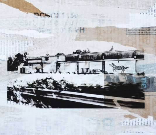 Silvia Crippa – Human