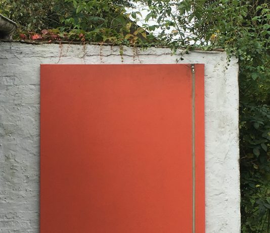 Simon Laureyns – Skinny Dipping