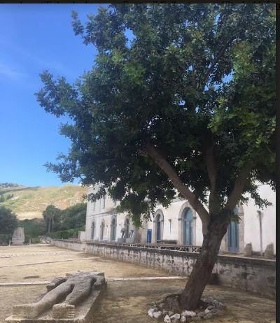 Trasversalità dello spazio, Luogo di desideri Trasversalità dello spazio, Luogo di desideri