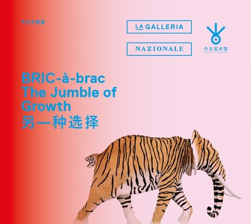 BRIC-à-brac | The Jumble of Growth