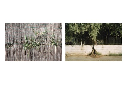 Chiara Arturo / Cristina Cusani – Attraverso il giardino. Due riflessioni naturali