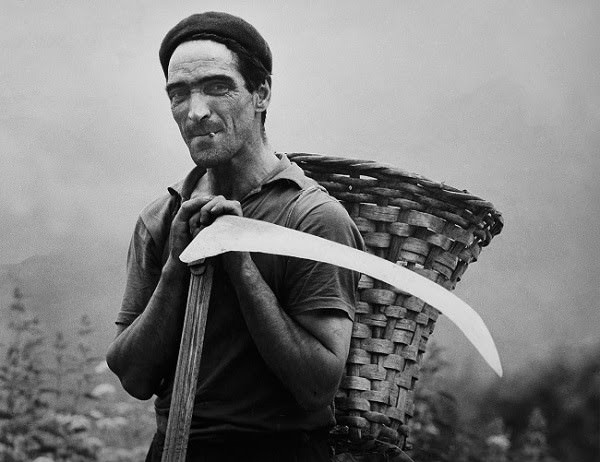 Michele Pellegrino – Una parabola fotograficahttps://www.exibart.com/repository/media/eventi/2018/07/michele-pellegrino-8211-una-parabola-fotografica.jpg